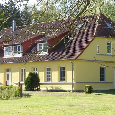 Gut Rattelvitz, Galerie F West Gingst